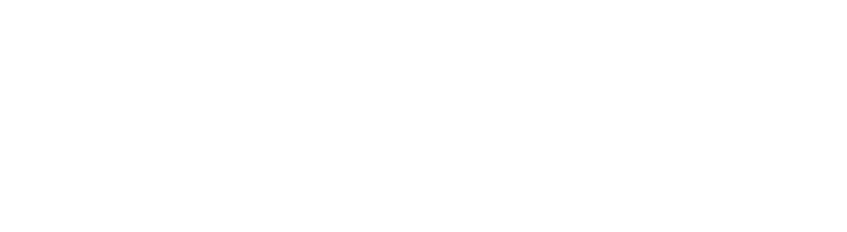SFDX Metric White Logo